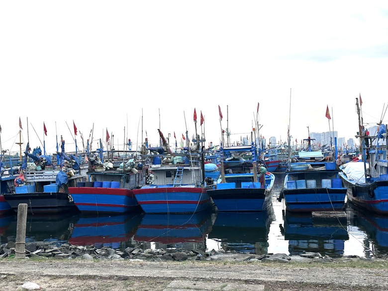 65 tỷ đồng cải tạo m&ocirc;i trường khu vực &acirc;u thuyền, cảng c&aacute; lớn nhất Đ&agrave; Nẵng- Ảnh 1.