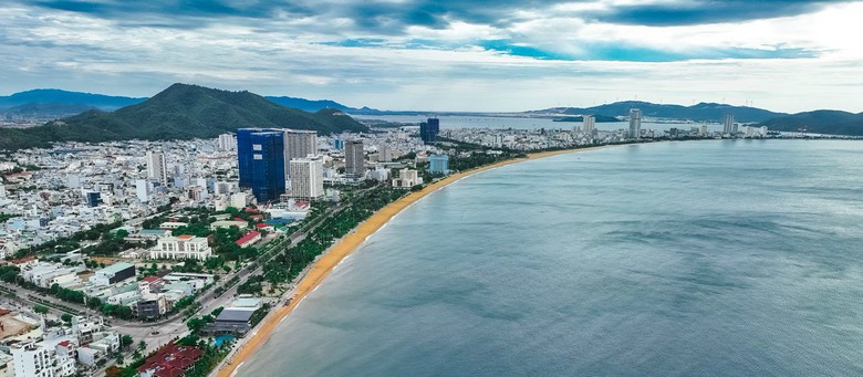 B&igrave;nh Định kết th&uacute;c hoạt động 19 Ban chỉ đạo, tinh gọn bộ m&aacute;y- Ảnh 2.