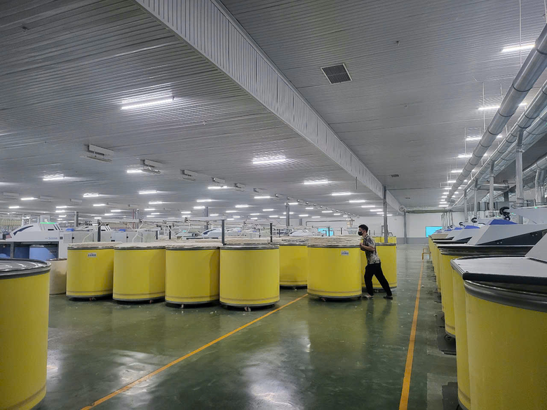 Ng&agrave;nh dệt may "d&ugrave;ng" 90 ng&agrave;y v&agrave;ng ho&atilde;n thuế để t&aacute;i cấu tr&uacute;c sản xuất - Ảnh 1.