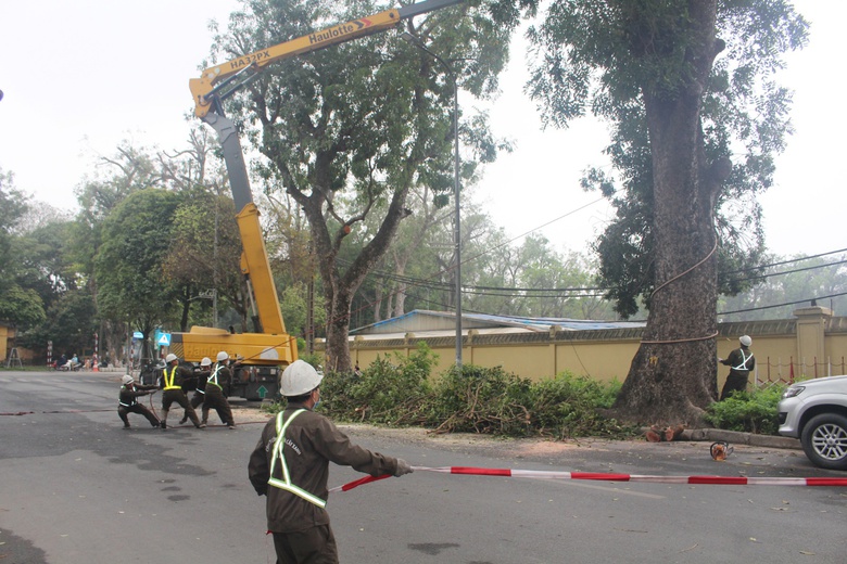 H&agrave; Nội chủ động c&aacute;c giải ph&aacute;p ứng ph&oacute; m&ugrave;a mưa b&atilde;o- Ảnh 1.