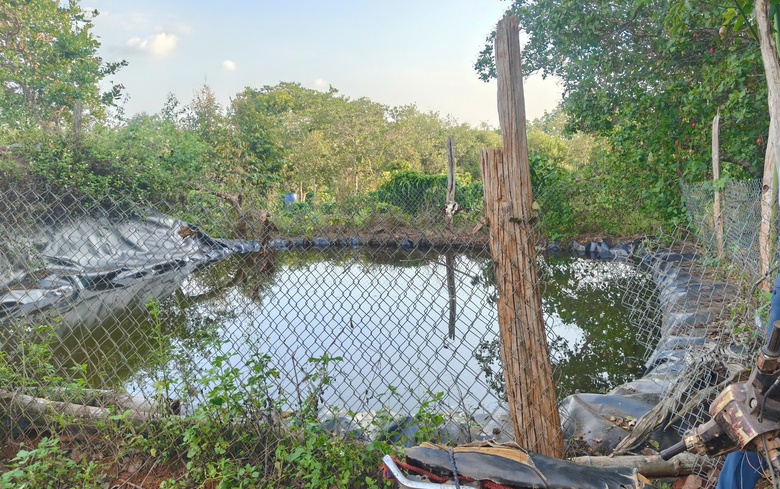 Hai anh em tử vong dưới hồ chứa nước tưới c&agrave; ph&ecirc; ở Đắk N&ocirc;ng- Ảnh 1.