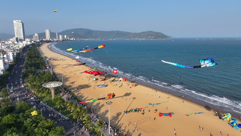 Người d&acirc;n đổ về biển Quy Nhơn ngắm diều nghệ thuật- Ảnh 5.