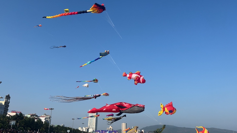 Người d&acirc;n đổ về biển Quy Nhơn ngắm diều nghệ thuật- Ảnh 4.