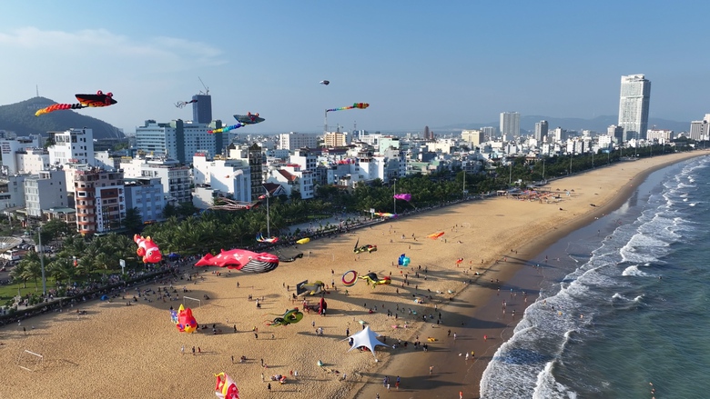 Người d&acirc;n đổ về biển Quy Nhơn ngắm diều nghệ thuật- Ảnh 6.