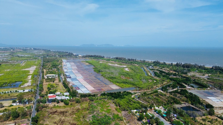 TP.HCM thành lập Hội đồng thẩm định dự án tuyến metro kết nối trung tâm với Cần Giờ- Ảnh 3. TP.HCM thành lập Hội đồng thẩm định dự án tuyến metro kết nối trung tâm với Cần Giờ- Ảnh 3.