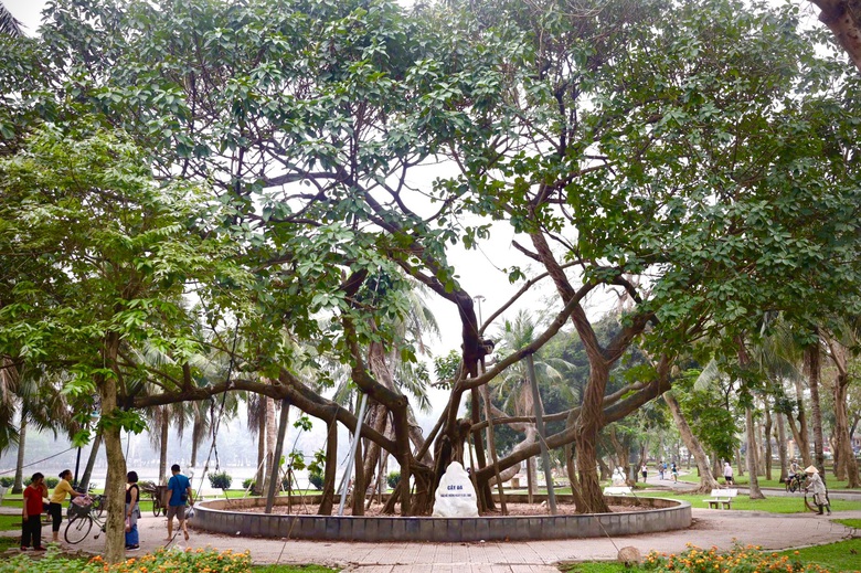 C&ocirc;ng vi&ecirc;n Thống Nhất: Biểu tượng lịch sử của kh&aacute;t vọng giải ph&oacute;ng miền Nam- Ảnh 11.