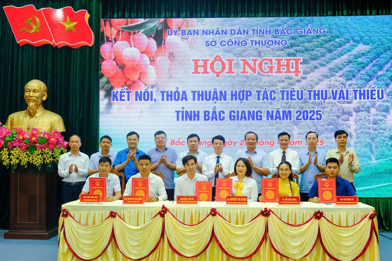 Bắc Giang đẩy mạnh xuất khẩu vải thiều qua đường h&agrave;ng kh&ocirc;ng- Ảnh 1.