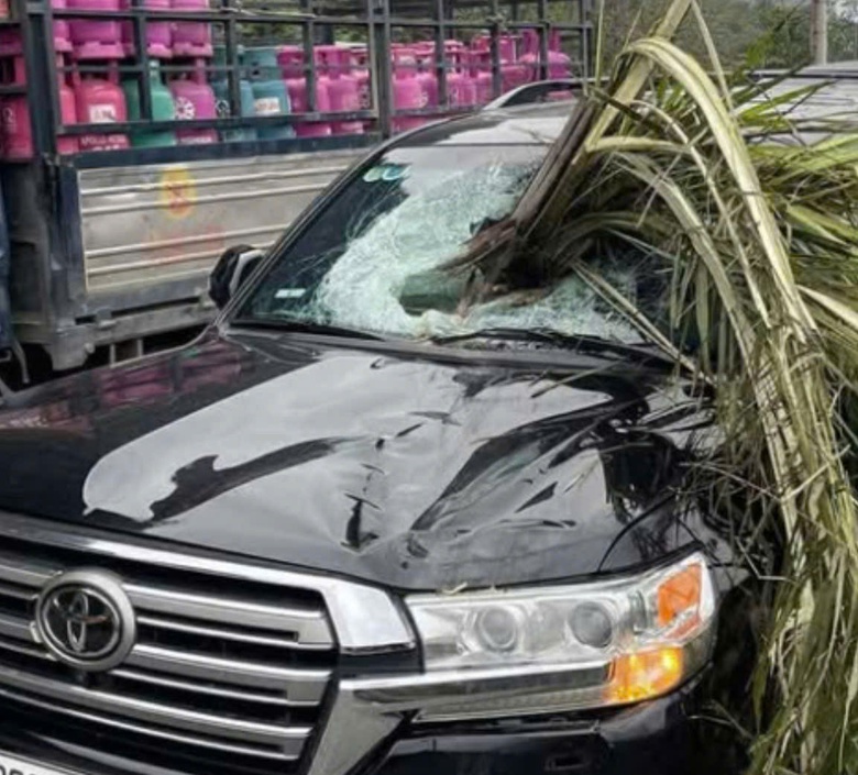 Quảng Ninh: Xe 4 chỗ bị c&acirc;y cọ xuy&ecirc;n thủng k&iacute;nh chắn gi&oacute; ph&iacute;a trước- Ảnh 1.