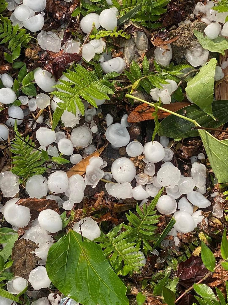 Mưa đ&aacute; trắng x&oacute;a ở H&agrave; Giang- Ảnh 1.