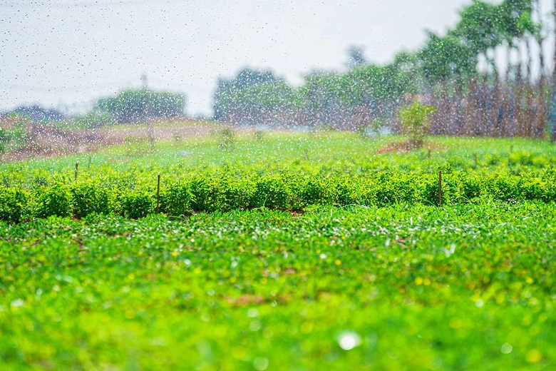 Đua tiến độ th&ocirc;ng xe kỹ thuật đường kết nối s&acirc;n bay Long Th&agrave;nh dịp 30/4- Ảnh 8.