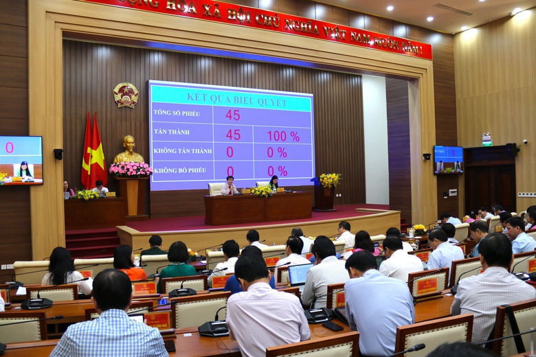 Quảng Ng&atilde;i sắp c&oacute; hai khu c&ocirc;ng nghiệp, đ&ocirc; thị rộng hơn 3.300ha- Ảnh 1.