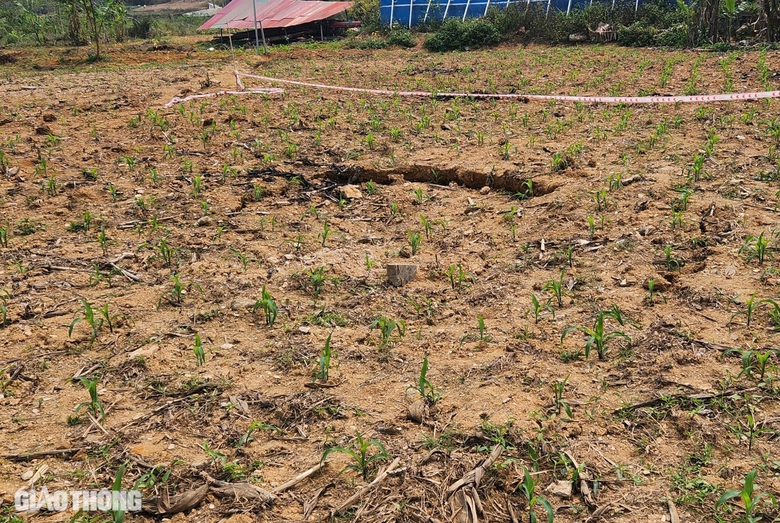 Xuất hiện nhiều điểm lún, hố "tử thần" ở Bắc Kạn- Ảnh 11. Xuất hiện nhiều điểm lún, hố "tử thần" ở Bắc Kạn- Ảnh 11.