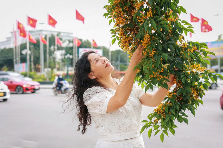 Những con phố v&agrave;ng rực hoa gi&aacute;ng hương ở th&agrave;nh Vinh- Ảnh 6.