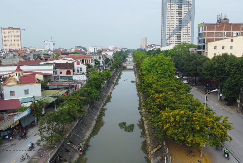 Những con phố v&agrave;ng rực hoa gi&aacute;ng hương ở th&agrave;nh Vinh- Ảnh 5.