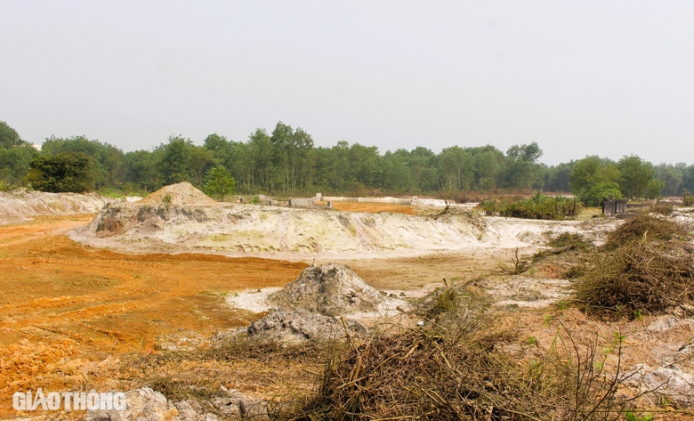 Chuyển mục đ&iacute;ch sử dụng hơn 6,6ha rừng l&agrave;m đường tr&aacute;nh TP Đ&ocirc;ng H&agrave;- Ảnh 1.