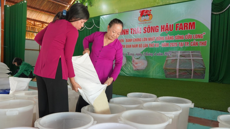 Cận cảnh b&aacute;nh chưng 1,6 tấn tại lễ hội b&aacute;nh d&acirc;n gian ở Cần Thơ- Ảnh 8.