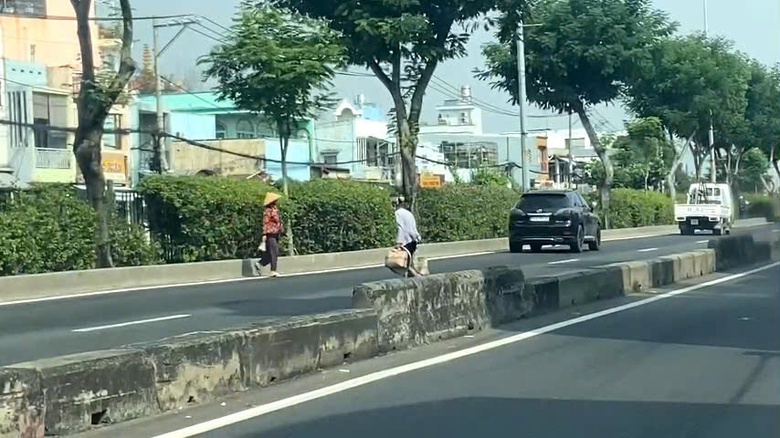 TP.HCM: Nhiều người bị xử phạt v&igrave; qua đường sai quy định- Ảnh 2.