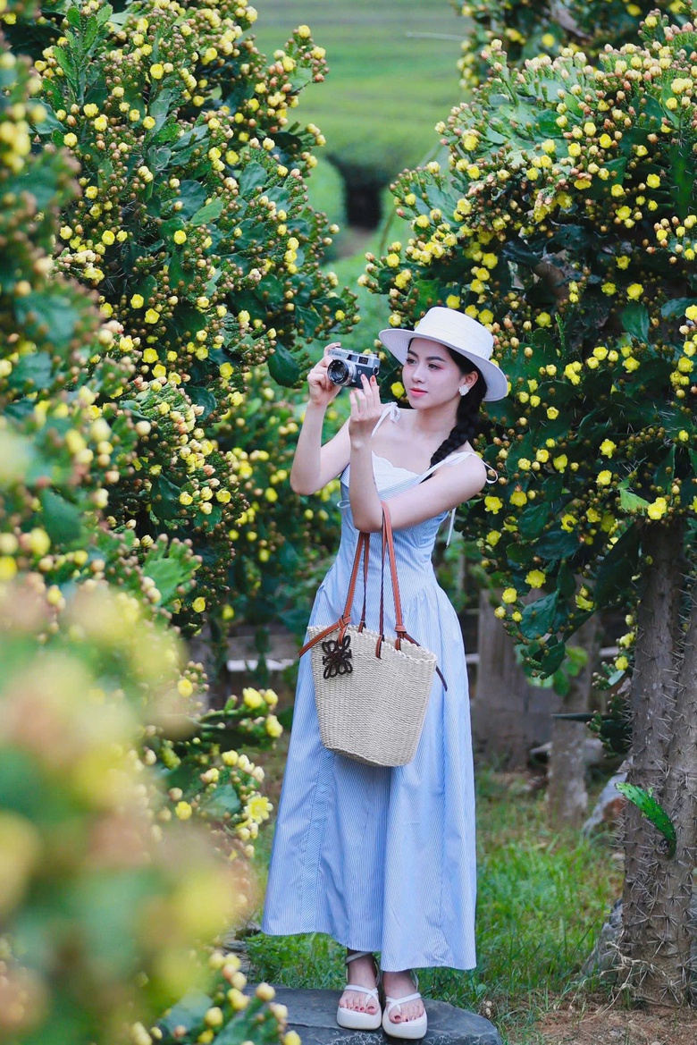 Độc đáo vườn xương rồng cổ thụ hoa vàng rực rỡ "hút" giới trẻ đến Mộc Châu- Ảnh 10. Độc đáo vườn xương rồng cổ thụ hoa vàng rực rỡ "hút" giới trẻ đến Mộc Châu- Ảnh 10.