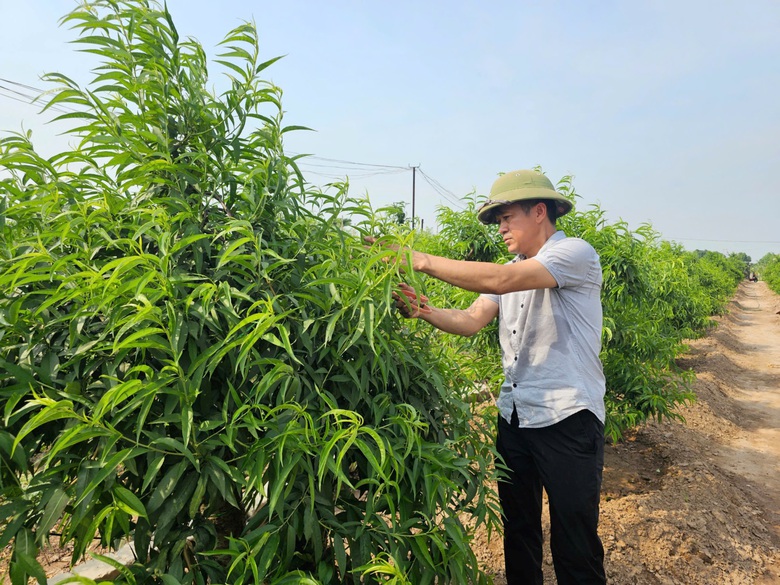 E:\Năm 2025\Th&aacute;ng 5\H&igrave;nh ảnh\z6586870799796_b4fb8efde3eba5ebf93fa5d3ba3b1d44.jpg