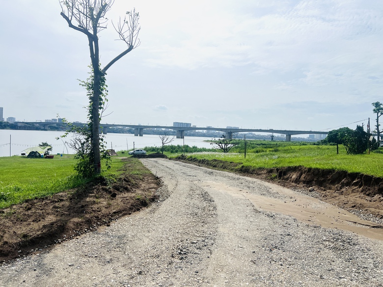 Hà Nội: Sẽ xử lý dứt điểm tình trạng san lấp, lấn chiếm bãi bồi ven sông Hồng- Ảnh 3. Hà Nội: Sẽ xử lý dứt điểm tình trạng san lấp, lấn chiếm bãi bồi ven sông Hồng- Ảnh 3.