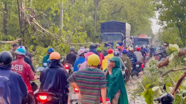 Đồng Nai: Dông lốc lớn khiến nhiều cây đổ, nhà tốc mái ở Định Quán- Ảnh 8. Đồng Nai: Dông lốc lớn khiến nhiều cây đổ, nhà tốc mái ở Định Quán- Ảnh 8.