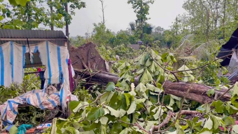 Đồng Nai: Dông lốc lớn khiến nhiều cây đổ, nhà tốc mái ở Định Quán- Ảnh 6. Đồng Nai: Dông lốc lớn khiến nhiều cây đổ, nhà tốc mái ở Định Quán- Ảnh 6.