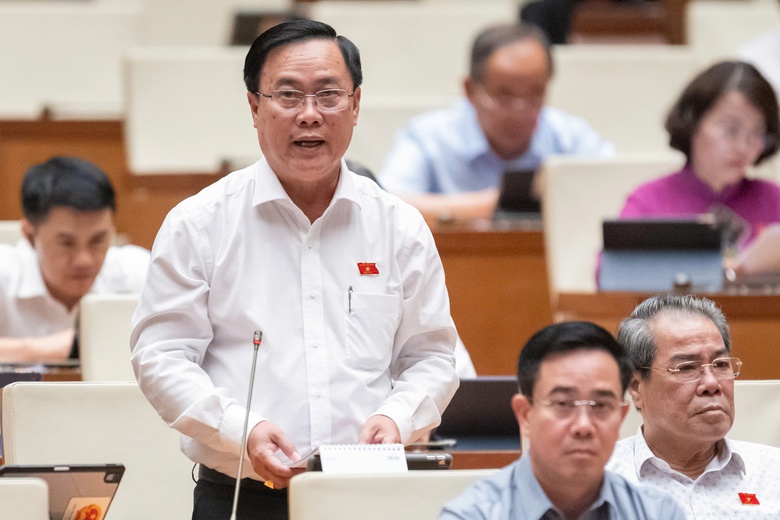 ĐBQH đề xuất l&agrave;m khu c&ocirc;ng nghiệp, giải quyết việc l&agrave;m cho c&ocirc;ng chức d&ocirc;i dư- Ảnh 1.