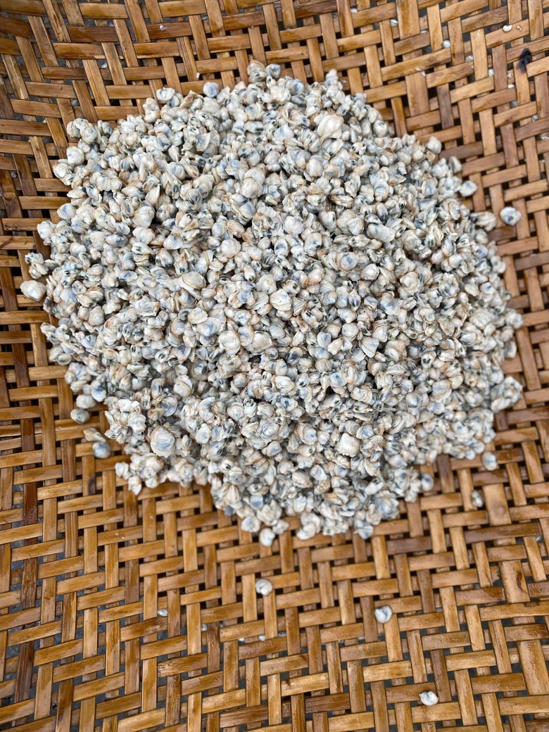 Giữ g&igrave;n l&agrave;ng nghề truyền thống 300 năm, H&agrave; Tĩnh hướng tới du lịch bền vững- Ảnh 9.