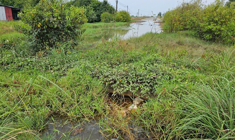 Huế: Hàng loạt tuyến đường bị rào chắn chờ đấu nối quốc lộ, lãng phí tiền tỷ- Ảnh 1. Huế: Hàng loạt tuyến đường bị rào chắn chờ đấu nối quốc lộ, lãng phí tiền tỷ- Ảnh 1.
