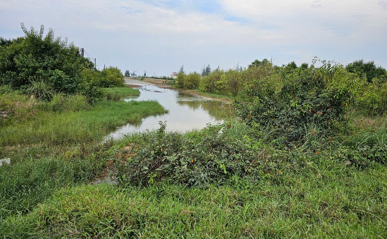 Huế: Hàng loạt tuyến đường bị rào chắn chờ đấu nối quốc lộ, lãng phí tiền tỷ- Ảnh 10. Huế: Hàng loạt tuyến đường bị rào chắn chờ đấu nối quốc lộ, lãng phí tiền tỷ- Ảnh 10.