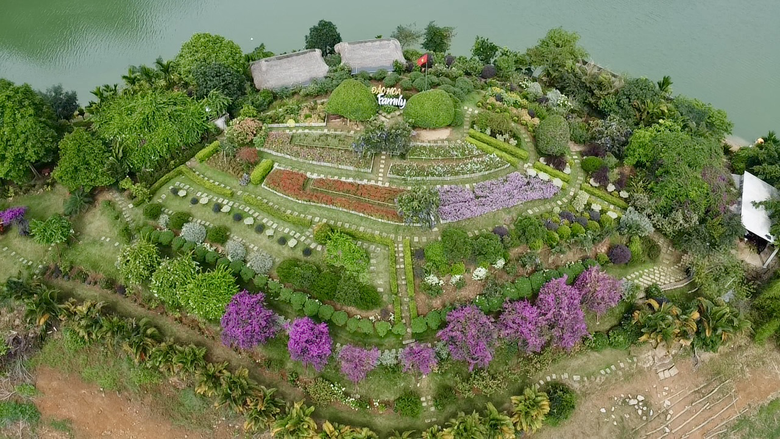 M&ecirc; mẩn đảo hoa mu&ocirc;n sắc giữa l&ograve;ng hồ N&uacute;i Cốc- Ảnh 2.