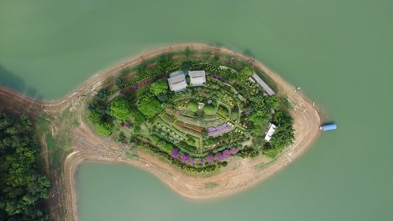 M&ecirc; mẩn đảo hoa mu&ocirc;n sắc giữa l&ograve;ng hồ N&uacute;i Cốc- Ảnh 1.