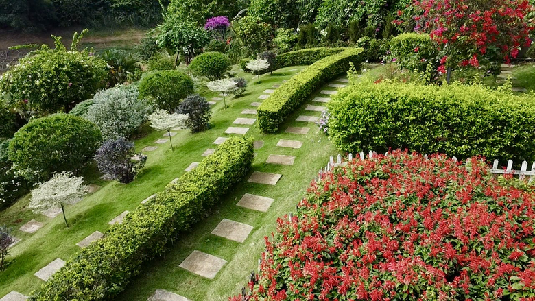 M&ecirc; mẩn đảo hoa mu&ocirc;n sắc giữa l&ograve;ng hồ N&uacute;i Cốc- Ảnh 4.