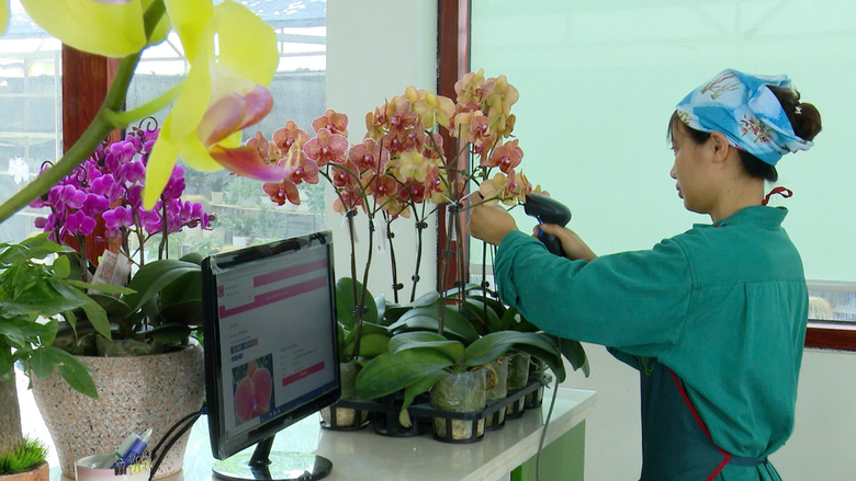 "Giấy th&ocirc;ng h&agrave;nh" cho n&ocirc;ng sản Việt v&agrave;o thị trường cao cấp- Ảnh 2.