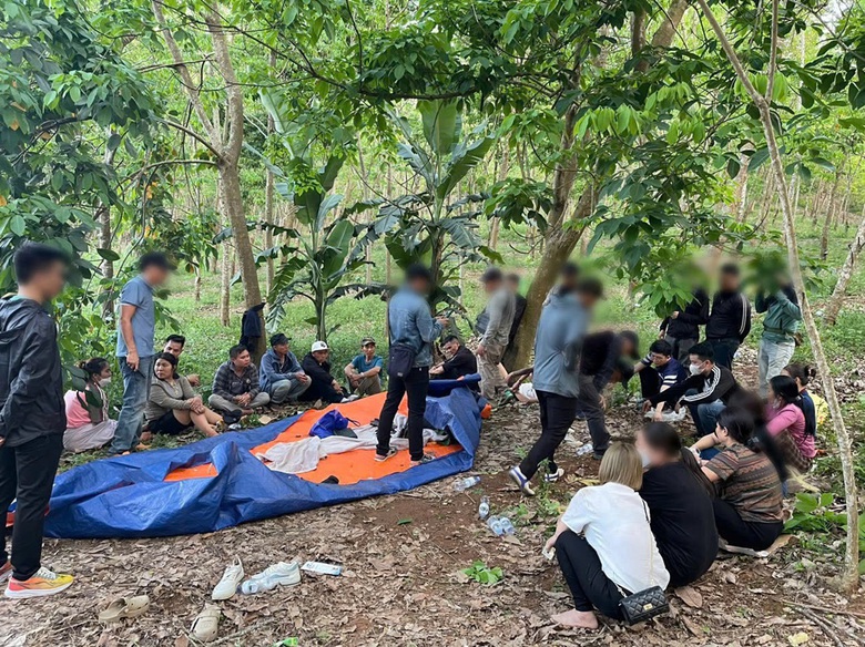 C&ocirc;ng an Nghệ An triệt x&oacute;a "ổ nh&oacute;m" đ&aacute;nh bạc trong rừng- Ảnh 1.