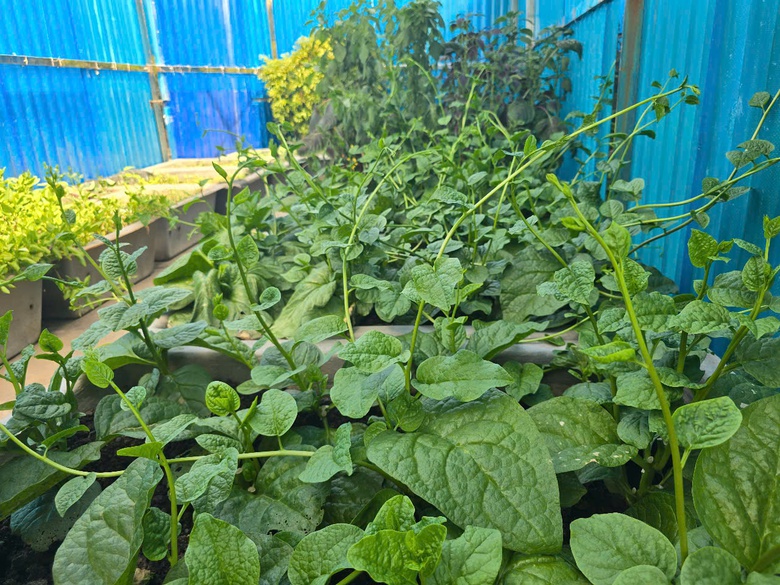 Ấn tượng sắc xanh Trường Sa- Ảnh 19.