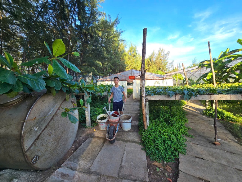 Ấn tượng sắc xanh Trường Sa- Ảnh 18. Ấn tượng sắc xanh Trường Sa- Ảnh 18.