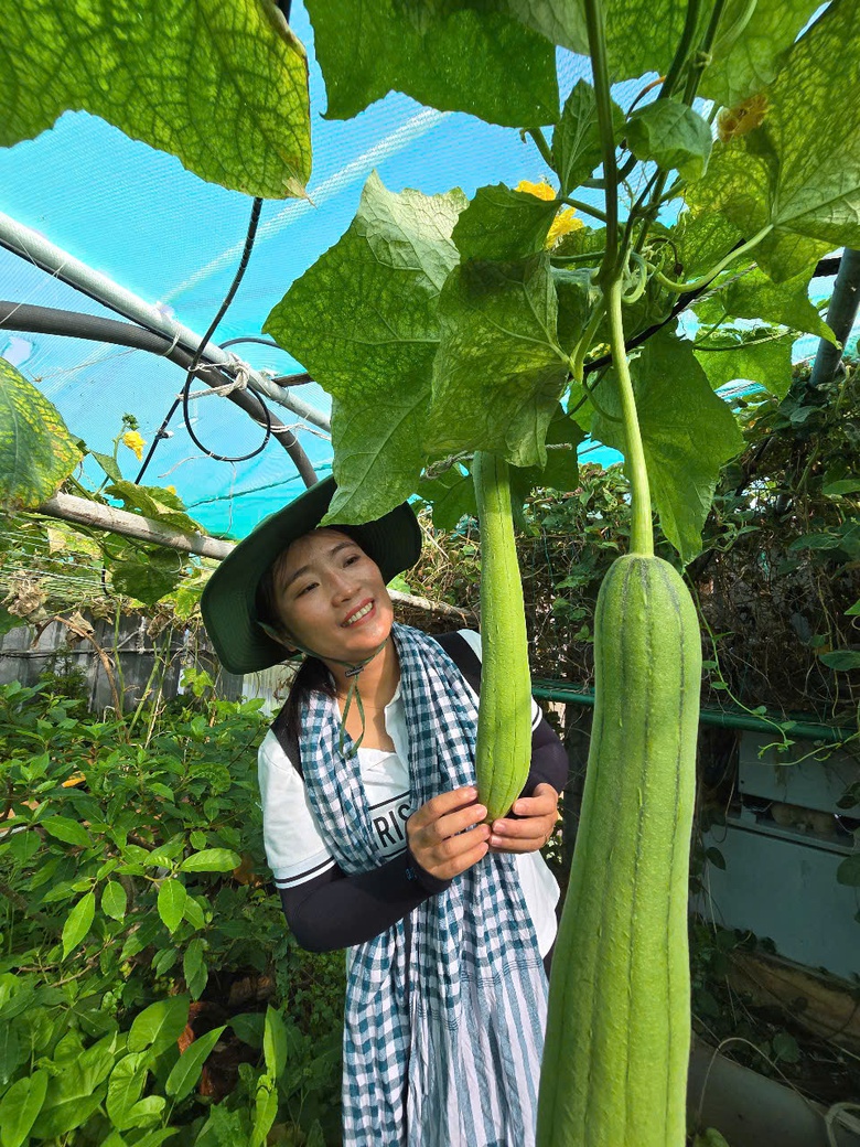 Ấn tượng sắc xanh Trường Sa- Ảnh 22. Ấn tượng sắc xanh Trường Sa- Ảnh 22.