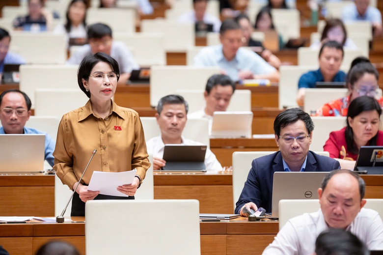 ĐBQH: Thanh tra theo kế hoạch không hiệu quả vì mất yếu tố bất ngờ- Ảnh 3. ĐBQH: Thanh tra theo kế hoạch không hiệu quả vì mất yếu tố bất ngờ- Ảnh 3.