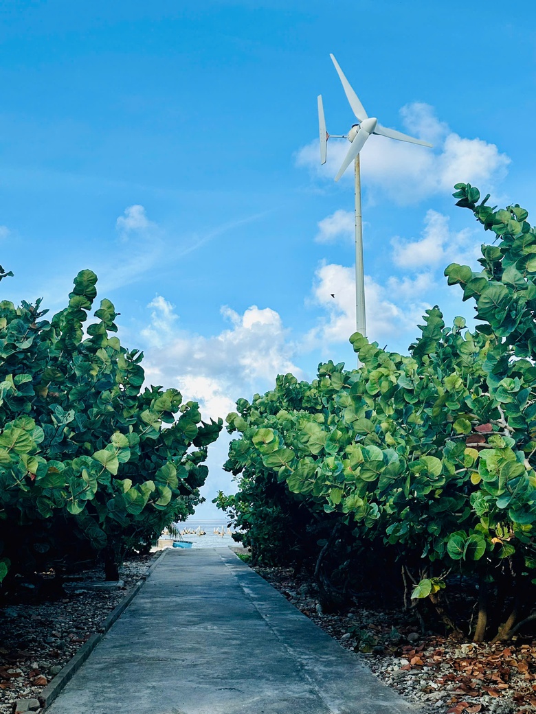 Ấn tượng sắc xanh Trường Sa- Ảnh 29. Ấn tượng sắc xanh Trường Sa- Ảnh 29.