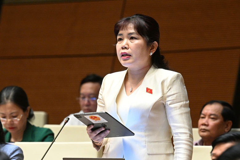 Đề nghị c&acirc;n nhắc quy định ph&acirc;n chia tỷ lệ tiền sử dụng đất, thu&ecirc; đất- Ảnh 2.