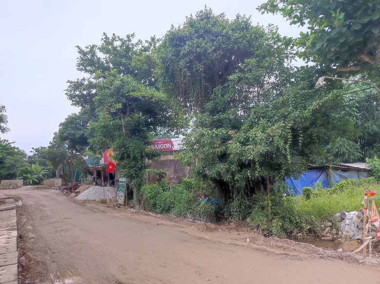 Dự &aacute;n giao th&ocirc;ng hơn 300 tỷ đồng ở H&agrave; Tĩnh &ldquo;kẹt&rdquo; v&igrave; chưa xong đền b&ugrave;- Ảnh 3.