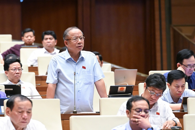 ĐBQH: C&acirc;n nhắc buộc người nước ngo&agrave;i muốn nhập tịch phải c&oacute; t&ecirc;n tiếng Việt- Ảnh 2.