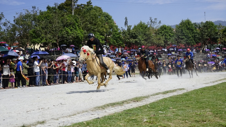 Độc đ&aacute;o đua ngựa giữa n&uacute;i rừng Bắc H&agrave;- Ảnh 13.
