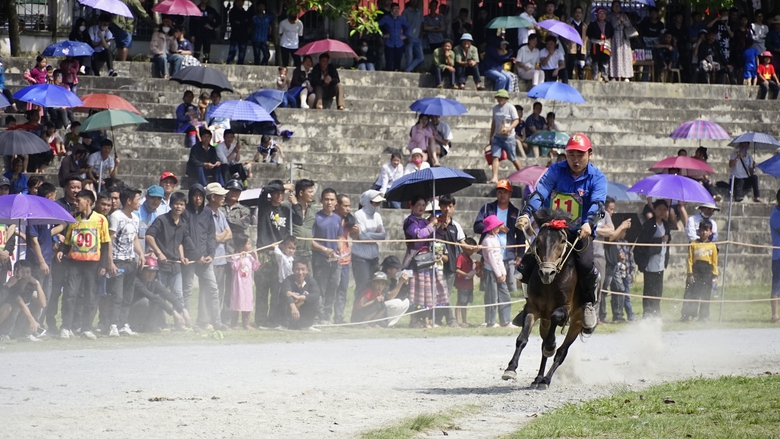 Độc đ&aacute;o đua ngựa giữa n&uacute;i rừng Bắc H&agrave;- Ảnh 10.