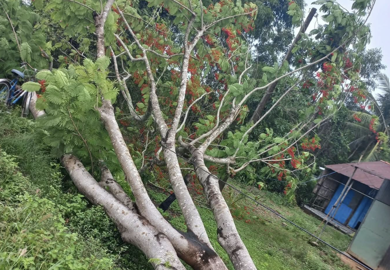 Tr&agrave; Vinh: Đi xe m&aacute;y vướng v&agrave;o đường d&acirc;y điện, 2 thanh ni&ecirc;n bị giật tử vong- Ảnh 1.