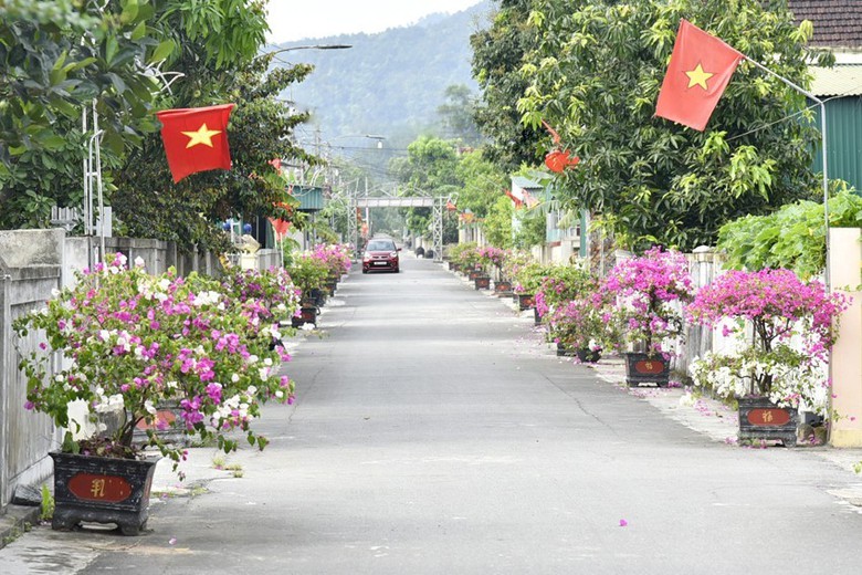 H&agrave; Tĩnh: Diện mạo đ&ocirc; thị sạch đẹp, khang trang từ những ng&otilde; phố văn minh- Ảnh 1.