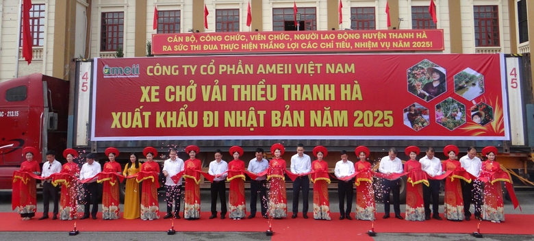 Hải Dương: Mở đầu một vụ vải thắng lợi- Ảnh 3.