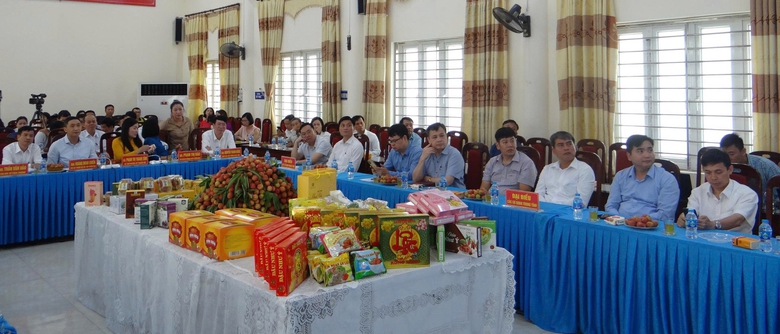 Hải Dương: Mở đầu một vụ vải thắng lợi- Ảnh 4.