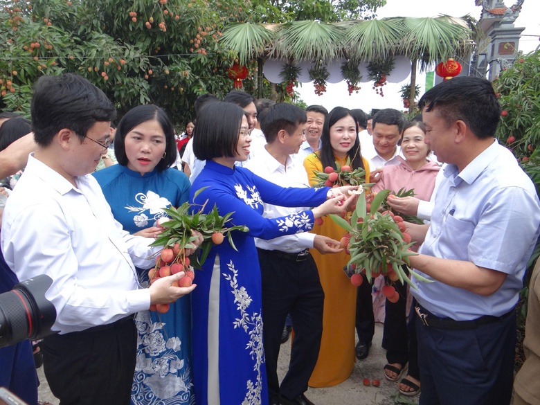 Hải Dương: Mở đầu một vụ vải thắng lợi- Ảnh 2.